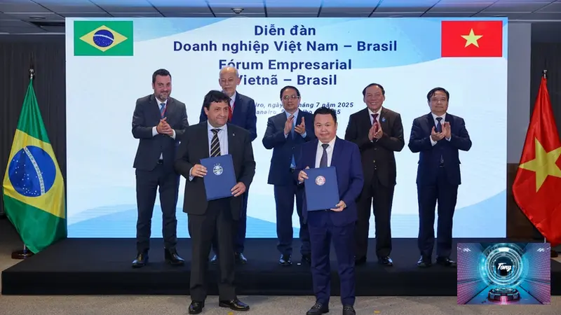 hop tac bong da Viet Nam va Brazil doi hinh du kien